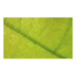 Green Leaf Botanical Nature Photography Rectangular Sticker