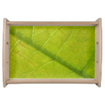 Green Leaf Botanical Nature Photography Serving Tray
