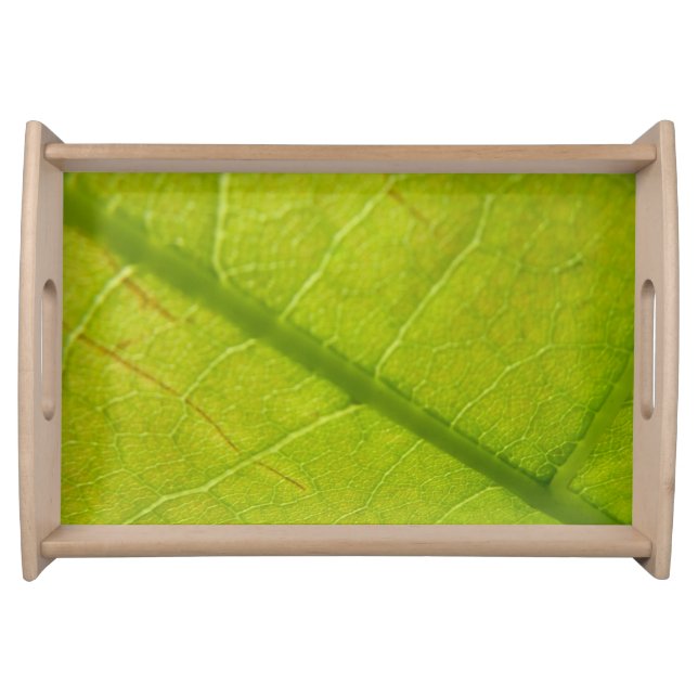 Green Leaf Botanical Nature Photography Serving Tray (Front)