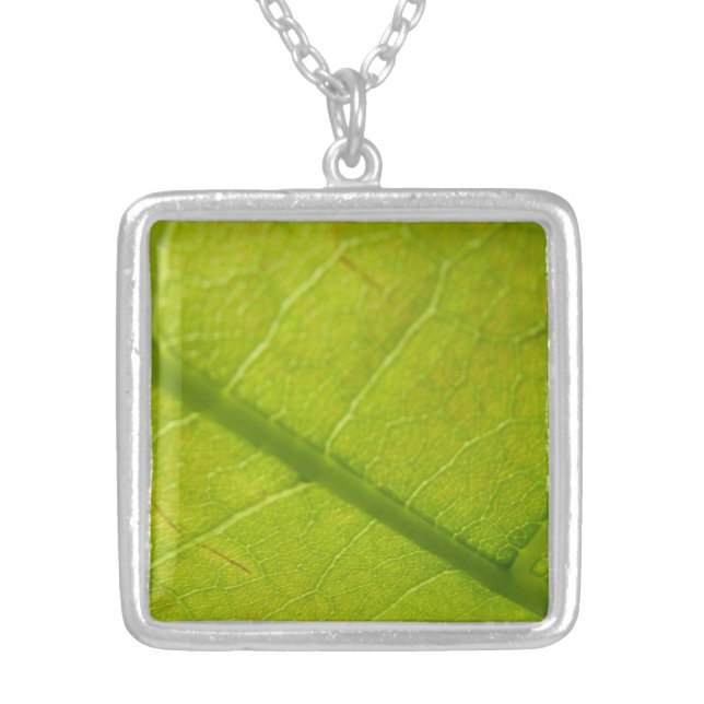 Green Leaf Botanical Nature Photography Silver Plated Necklace (Front)