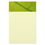Green Leaf Botanical Nature Photography Stationery