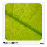 Green Leaf Botanical Nature Photography Wall Sticker