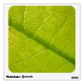 Green Leaf Botanical Nature Photography Wall Sticker