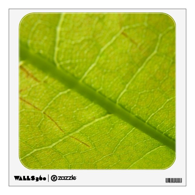 Green Leaf Botanical Nature Photography Wall Sticker (Front)