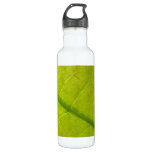 Green Leaf Botanical Nature Photography Water Bottle