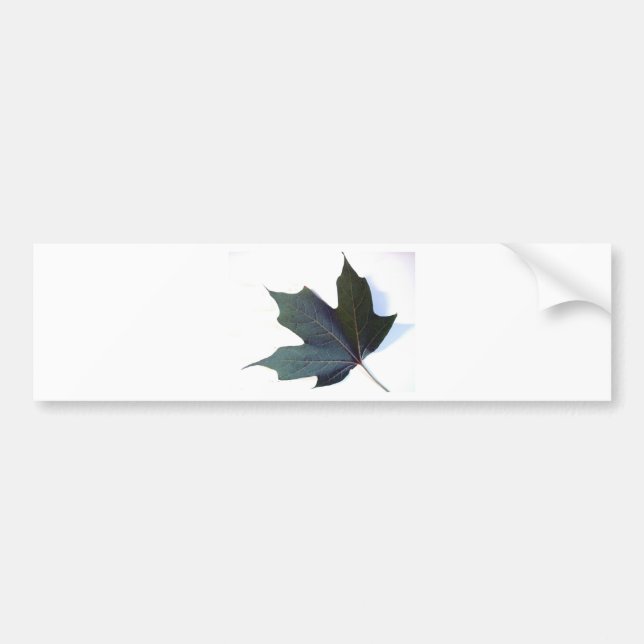 Green Leaf Bumper Sticker (Front)