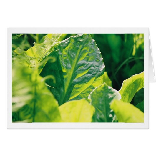 Green Leaf Cards (Front Horizontal)