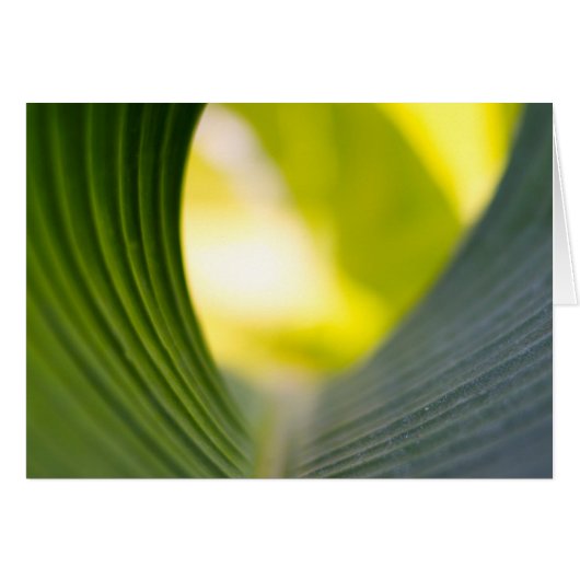 Green leaf cards (Front Horizontal)