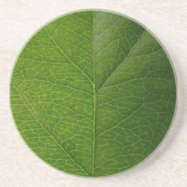 Green Leaf Coaster (Front)