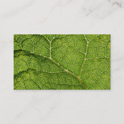 Customizable Green Leaf. Digital Art. Business Card Templates