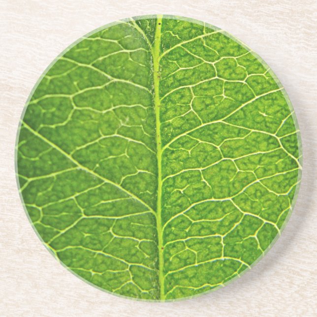 green leaf drink coaster (Front)