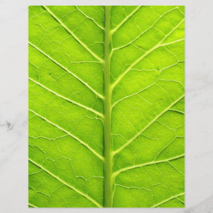 Green leaf flyer
