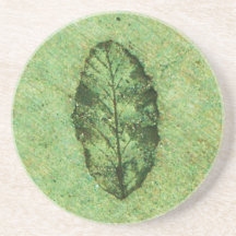 Green Leaf Fossil