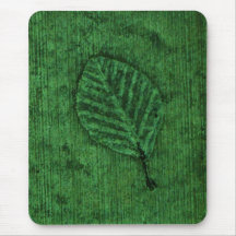 Green Leaf fossil
