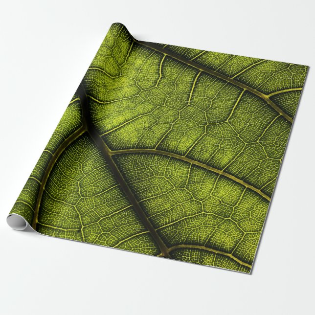 Green leaf in close up photography wrapping paper (Unrolled)