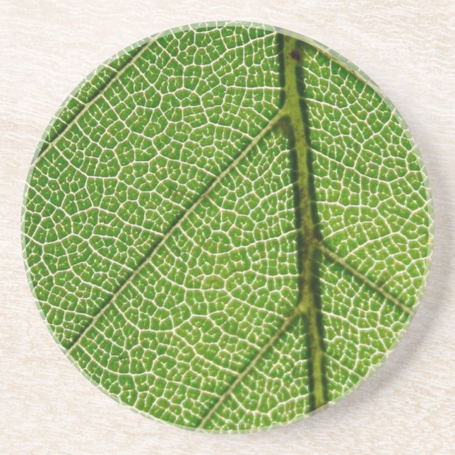 Green Leaf in Detail Drink Coaster (Front)