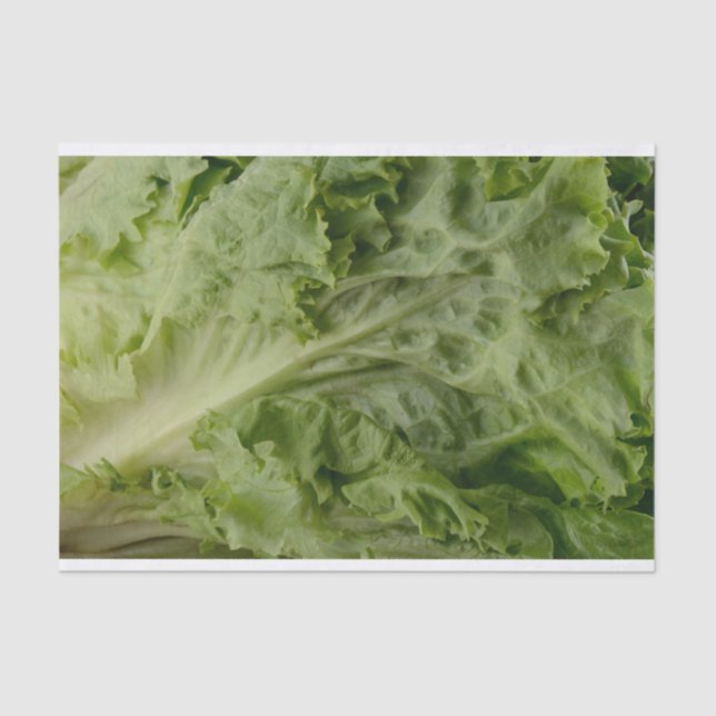 Green leaf lettuce tissue paper (Front)