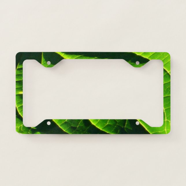 Green leaf license plate frame (Front)