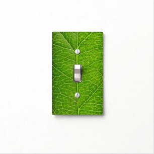 green leaf light switch cover