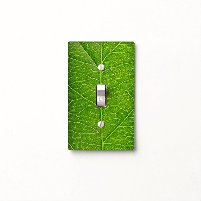 green leaf light switch cover (In Situ)