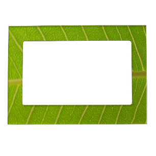 Green Leaf Magnetic Frame