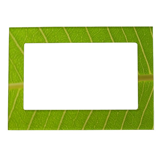 Green Leaf Magnetic Frame (Front)