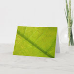 Green Leaf Nature Photography Card