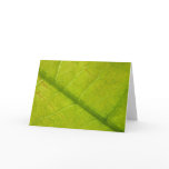 Green Leaf Nature Photography Card