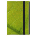 Green Leaf Nature Photography Case For iPad Mini