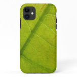 Green Leaf Nature Photography iPhone 11 Case