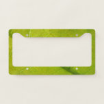Green Leaf Nature Photography License Plate Frame