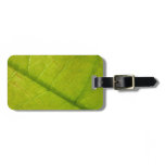 Green Leaf Nature Photography Luggage Tag
