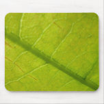 Green Leaf Nature Photography Mouse Pad