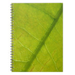 Green Leaf Nature Photography Notebook