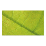 Green Leaf Nature Photography Rectangular Sticker