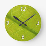 Green Leaf Nature Photography Round Clock