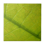 Green Leaf Nature Photography Tile