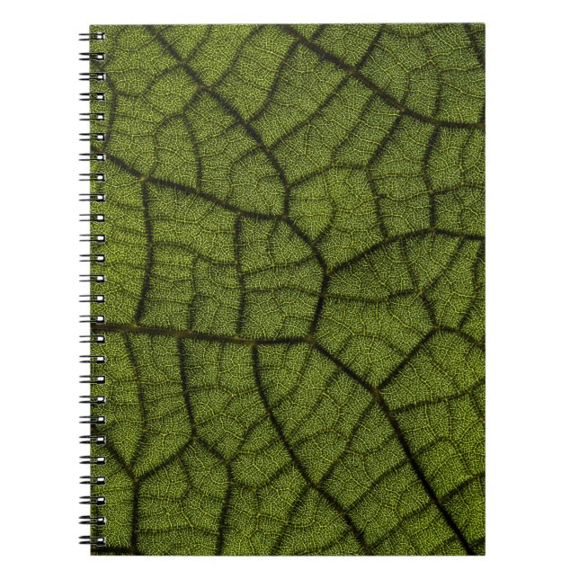 Green leaf notebook (Front)
