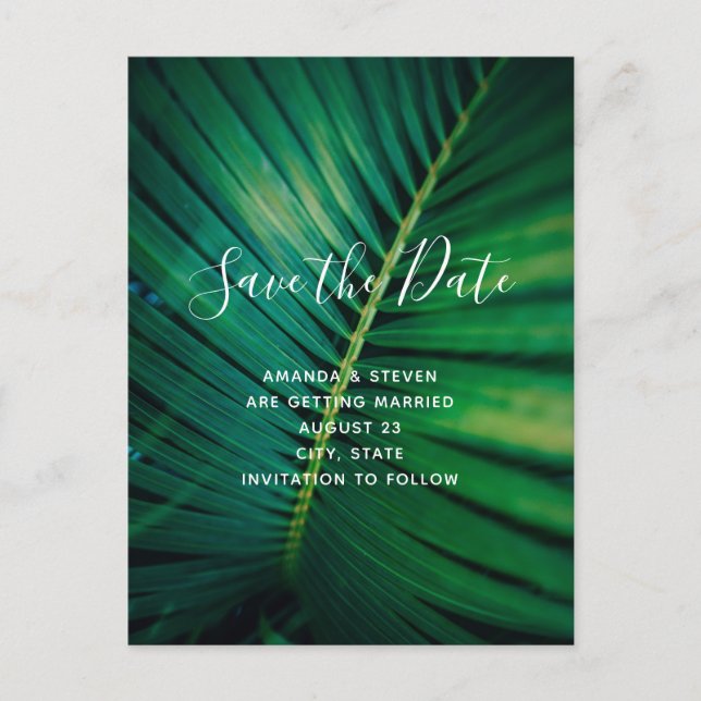 Green Leaf Palm Frond Closeup Photo Save the Date Invitation Postcard (Front)