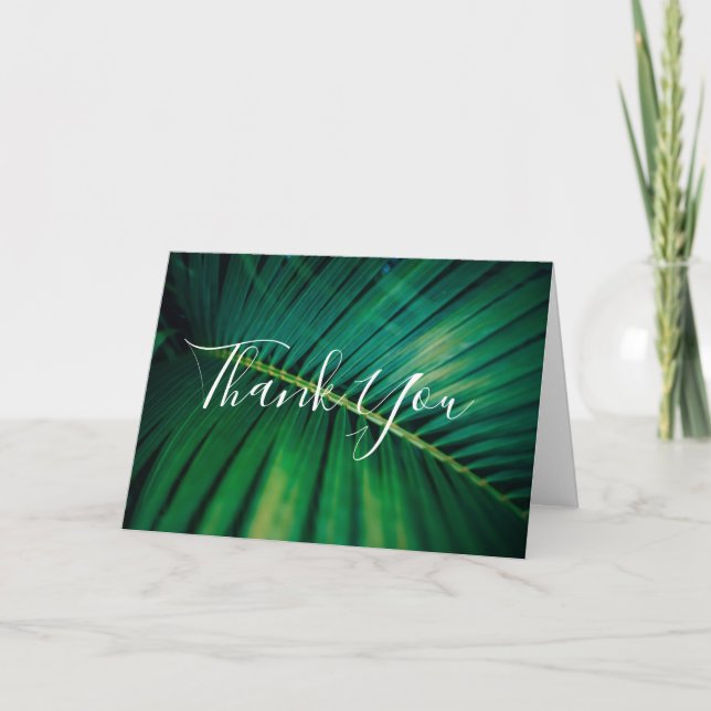 Green Leaf Palm Frond Closeup Photo Thank You Card (Front)