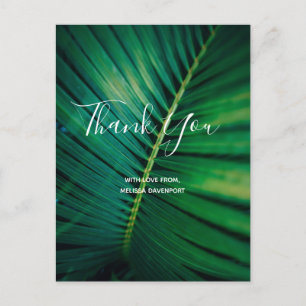 Green Leaf Palm Frond Closeup Photo Thank You Postcard
