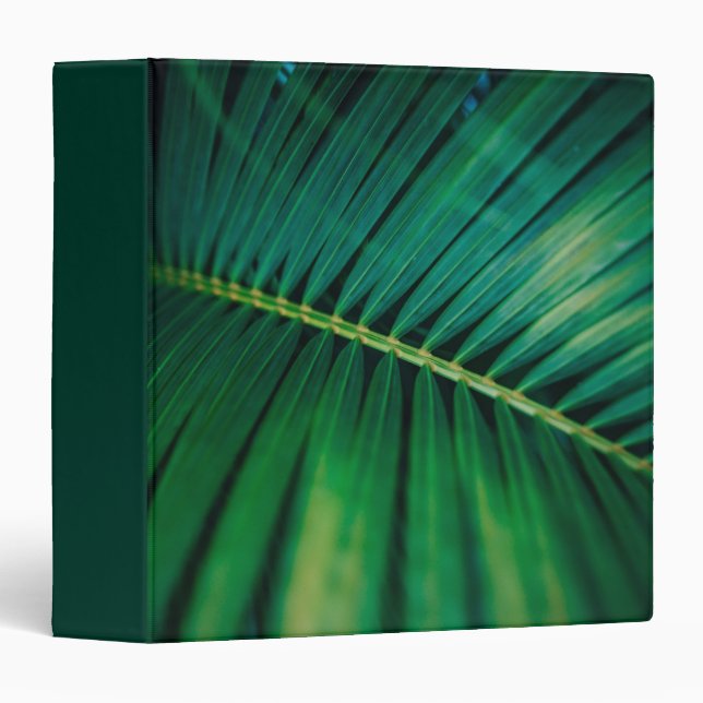 Green Leaf Palm Frond Tropical Nature Photo 3 Ring Binder (Front/Spine)