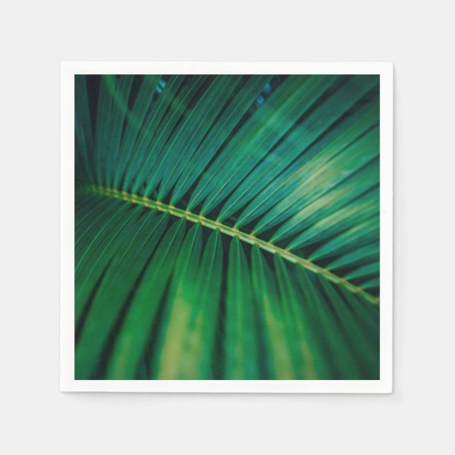 Green Leaf Palm Frond Tropical Nature Photo Napkins (Front)
