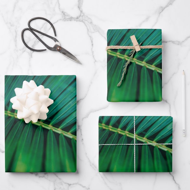 Green Leaf Palm Frond Tropical Nature Photo Wrapping Paper Sheets (Front)