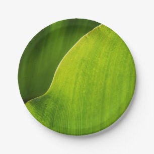 green leaf Paper Plate