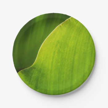 Green Leaf Paper Plate by Click_Buy at Zazzle