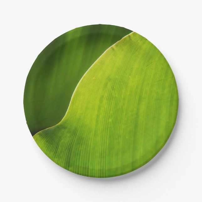 green leaf Paper Plate (Front)