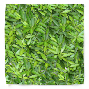 Green Leaf Pattern – Botanical Nature Art Bandana