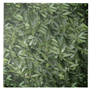 Green Leaf Pattern – Botanical Nature Art Ceramic Tile