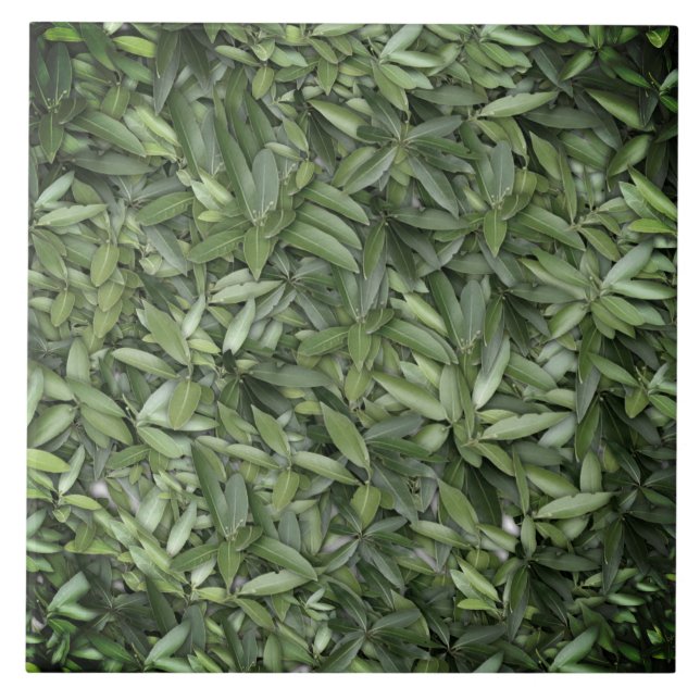 Green Leaf Pattern – Botanical Nature Art Ceramic Tile (Front)